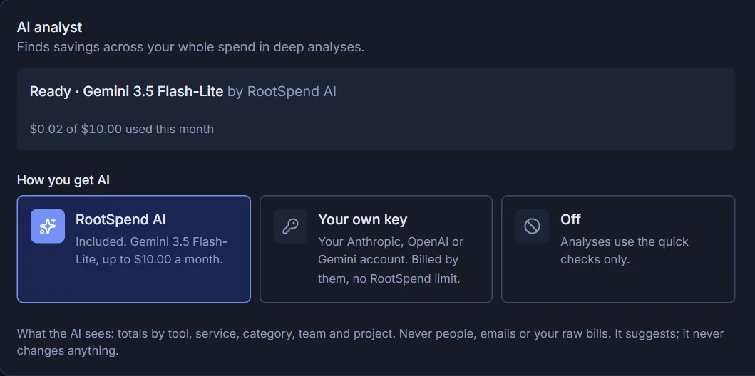 AI settings: choose RootSpend AI, your own key, or off, with a note on exactly what the AI sees.