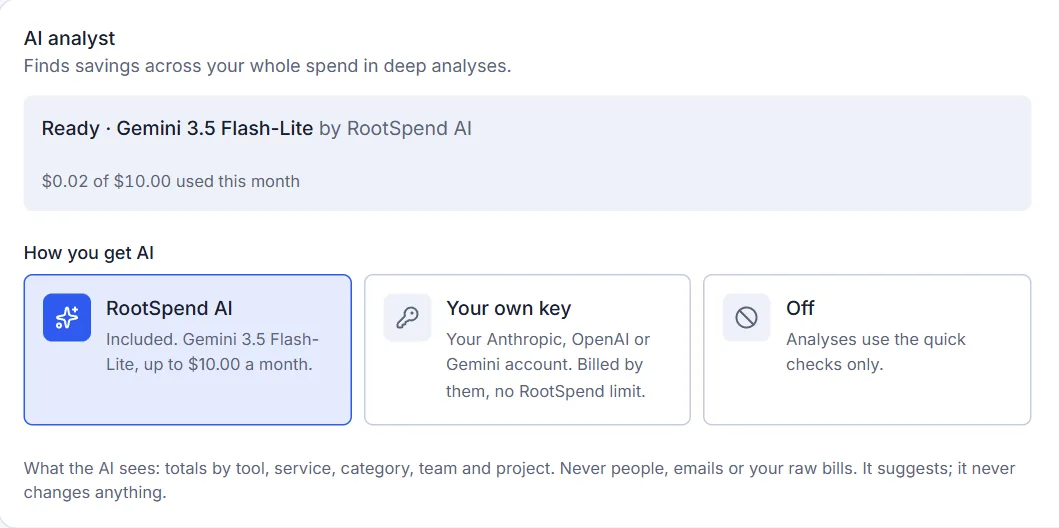 AI settings: choose RootSpend AI, your own key, or off, with a note on exactly what the AI sees.